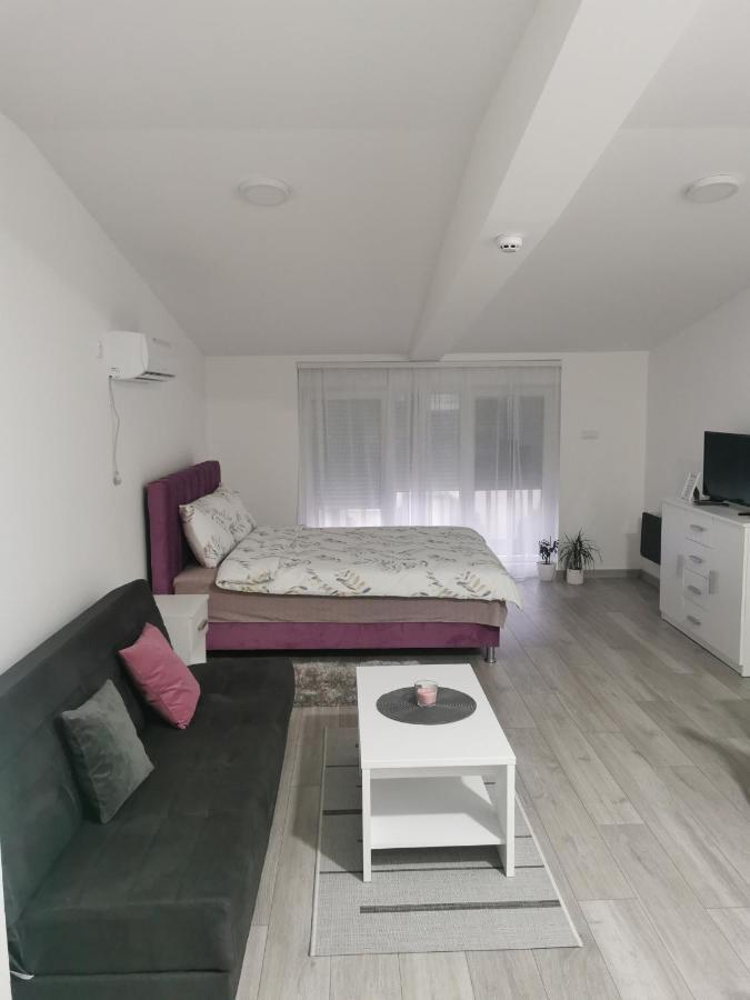 Studio Apartmani Banja Koviljača Eksteriør billede