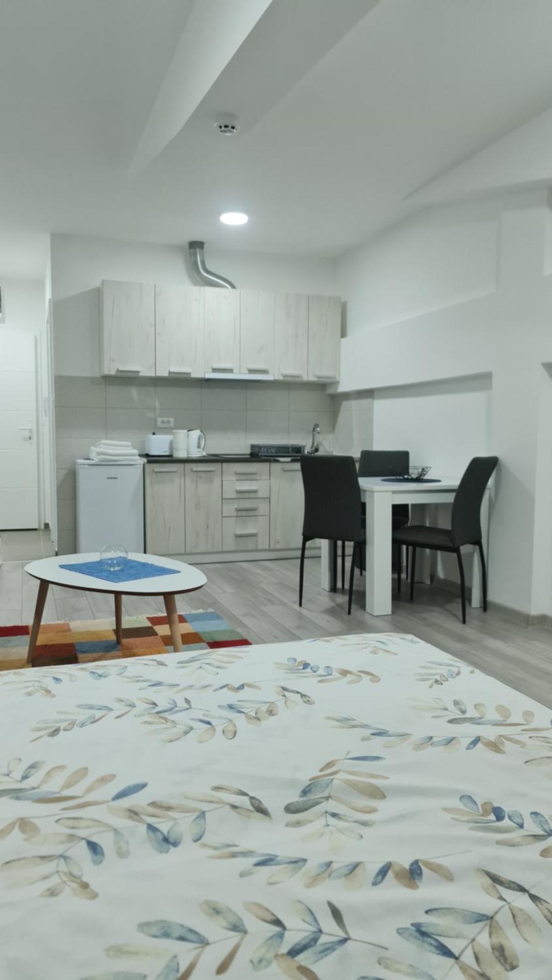 Studio Apartmani Banja Koviljača Værelse billede