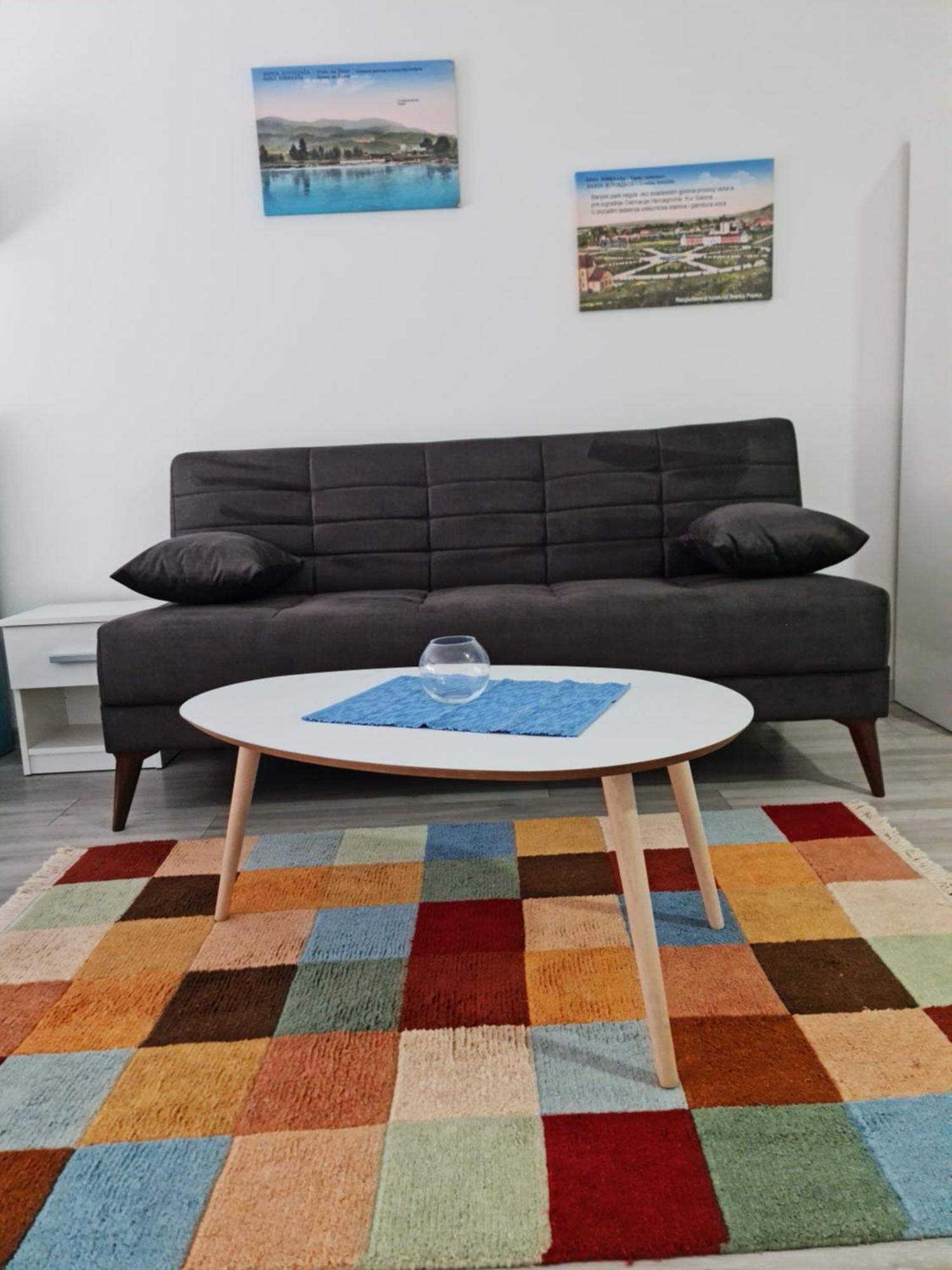 Studio Apartmani Banja Koviljača Værelse billede